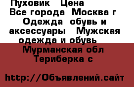 Пуховик › Цена ­ 2 000 - Все города, Москва г. Одежда, обувь и аксессуары » Мужская одежда и обувь   . Мурманская обл.,Териберка с.